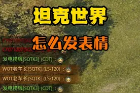 50秒告诉你坦克世界游戏内如何发表情，后附清单 #坦克世界 #坦克世界夏日盛典