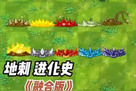 植物大战僵尸：融合版地刺进化史，每个你都玩过了吗？视频封面