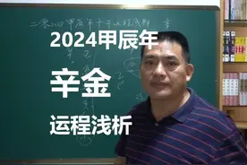 【辛金】2024甲辰年十干浅析 #周易 #八字 #风水 #命理