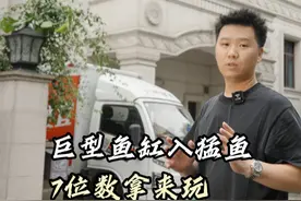 安装巨型实木鱼缸有惊无险，七位数体验一步到位的快乐！ #金泓观赏鱼 #养鱼日记 #龙鱼缸 #龙鱼 #虎鱼视频封面