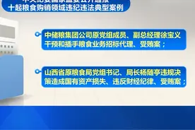中央纪委国家监委 公开通报十起粮食购销违纪违法典型案例视频封面