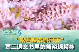 “跟着课本游河南”（二），高二语文书里的焦裕禄精神，四月的兰考，泡桐花开。#河南 #兰考 #焦裕禄视频封面