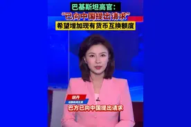 巴基斯坦高官：“已向中国提出请求”，希望增加现有货币互换额度