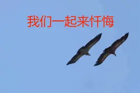 我们一起来忏悔-白鹤-怀旧老歌D #卡拉OK字幕 #KTV #MV #音乐分享视频封面