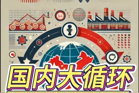 国内大循环视频封面