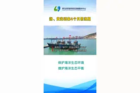 渤、黄海迎来4个月禁渔期#青岛西海岸新区 #青岛 #生态 @抖音短视频 #港口码头 #休渔 #禁海 视频封面