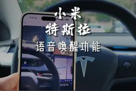 小米的语音唤醒功能有多强大? 咱们特斯拉也不赖啊#小米 #特斯拉