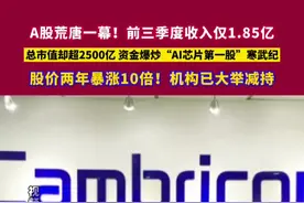 A股荒唐一幕！前三季度收入仅1.85亿元 总市值却超2500亿元，资金爆炒“AI芯片第一股”寒武纪，股价两年暴涨10倍！机构已经大举减持#金融界每日热点 #与财同行 #财经快讯视频封面