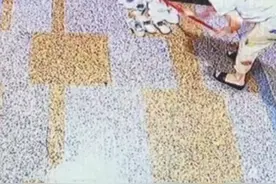 和邻居的双向奔赴#中国好邻居 #远亲不如近邻 #温暖视频封面