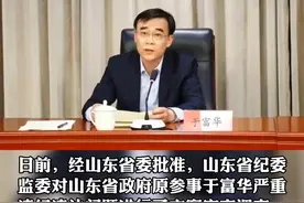 山东省政府原参事于富华严重违纪违法被开除党籍和公职#打虎拍蝇 #反腐倡廉视频封面