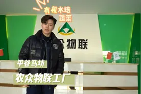 你吃过不是长在土里的蔬菜吗视频封面