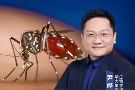 警惕花斑蚊子！顺德公告、世卫再发警报。 短短七天，基孔肯雅热已经确诊3645例！#尹烨科普  #基孔肯雅热  #伊蚊  #传染病