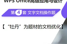 全国计算机等级考试 二级WPS 第4套 文字文档操作题讲解 题目要求视频封面
