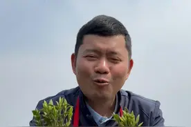 贵州石阡苔茶，好喝的绿茶 #三农 #乡村振兴 #我为家乡农产品代言 #石阡苔茶 #驻村的日子视频封面