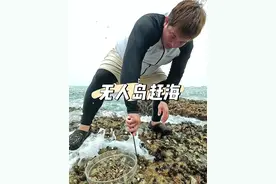 命悬一线的赶海，一生必吃的美食。 佛手螺全部栖息在危险的石头缝，没浪的地方它是不生长的！整个采摘过程抓提心吊胆！简直太刺激了！#创作灵感 #乡村守护人 #户外赶海抓海鲜 #尝一口春天的味道  #吃海鲜我们是认真的视频封面