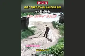 监拍广东廉江85岁老人被红白蛇追咬，老人持杖还击 儿子：她不小心“打草惊蛇”