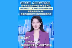 7月18日（报道），近来全国多地出现极端高温，其中河南、陕西等地气温甚至攀升到超过40℃。近日有河南网友表示，极端高温带来了一个意想不到的效果：大量蚊子被热死在房间里了。#极端高温  #蚊子