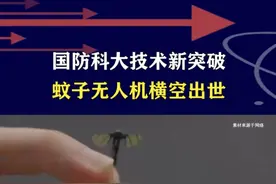 无人机超微型化，国防科大研制机械蚊子，颠覆战场侦察与打击模式 #抖音热评 #微型无人机