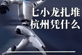 【智擎万象】杭州七小龙：人工智能扎堆崛起，杭州赢在哪？
