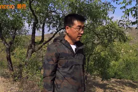 认领一棵枣树的意义 #爱心公益 #公益活动 #曼乔一棵枣树公益视频封面
