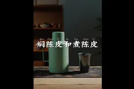 陈皮焖出来和煮出来各自都有什么特点呢？#新会陈皮 #陈皮视频封面