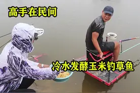 高手在民间，冷水发酵玉米钓草鱼，用了十几年都没空过！ #钓鱼视频封面