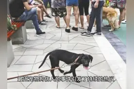 流浪狗伤人屡次出现，为什么会出现流浪狗视频封面