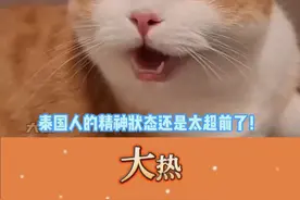泰国人的精神状态还是太超前了！#泰国#哆啦a梦  #猫咪 #一起看视频封面