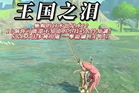 塞尔达传说王国之泪💦蜥蜴的口水也是水??视频封面