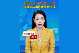 9月23日，风王“桦加沙”来势凶猛即将登陆，深圳街头连夜砍断树枝预防强风造成破坏。