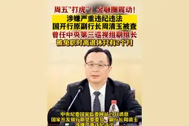 #国开行原副行长#周清玉被查 #国家开发银行#金融#打虎#反腐倡廉#干部 #中央巡视组 #重拳出击视频封面