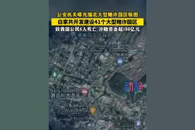 #公安机关曝光缅北大型赌诈园区版图  白家共开发建设41个大型赌诈园区