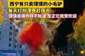 西宁有只卖馍馍的小毛驴，每天打扮漂亮赶夜市，馍馍卖得咋样不知道，反正它很受欢迎。视频封面