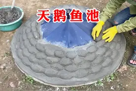手工打造天鹅锦鲤池，成品太惊艳了 #高手在民间 #创意手工视频封面