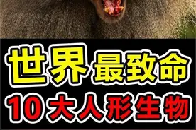 世界上“最可怕”的5大灵长类生物 #神奇动物在抖音 #动物世界 #涨知识 #科普 #冷知识