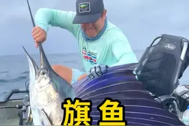 旗鱼，世界上游泳速度最快的鱼！ #旗鱼 #科普 #涨知识