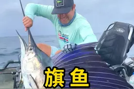 旗鱼，世界上游泳速度最快的鱼！ #旗鱼 #科普 #涨知识视频封面