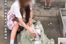 律师：吃大白鲨网红或面临10年以上刑罚#你怎么看 视频封面