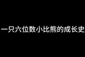 一只极品小比熊的成长史～#比熊 #小体比熊 #萌宠出道计划 #狗狗视频封面