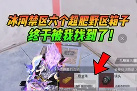 和平精英雪龙：冰河禁区六个超肥野区箱子，终于被我找到了！