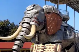 云南人到底有多爱大象，机甲版大象出门“巡游”了！仔细看，它的鼻子还会喷水哦～#有一种叫云南的生活 #美好生活在云南 #七彩云南样样好视频封面