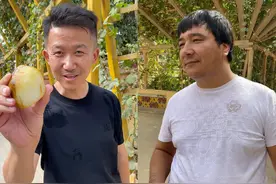 秋梨皮的这种独特皮色，与洒金皮相似，能够让人一眼看清肉质。其玉质细腻、油润，仿佛经过岁月的打磨，散发着温润的光泽。这种玉质的细腻程度，是秋梨皮相对于红皮的一大优点。#和田玉 #和田玉籽料 #我要上热门 #我要上推荐 #生活 @抖音短视频 @抖音创作小助手视频封面