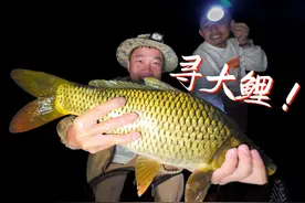 野河寻鲤五：大鲤鱼喜欢新钓点，记住要考！！！视频封面