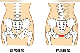 3D动画演示女性生产前后骨盆变化#3D动画演示 #医学科普 #孕妈 #女人不容易 #女人必看