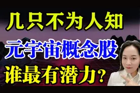 美股🔥🔥 你们想要的元宇宙概念股表来了 ❗️❗️