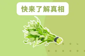 空心菜是“毒蔬菜”？快来了解真相#空心菜 #食品安全 #科普知识视频封面