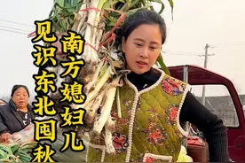 南方媳妇儿被东北囤秋菜的场面震撼了。#我的乡村生活 #新农人计划2023 #乡村守护人 #南北差异 #丰收的季节