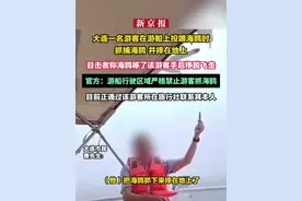 大连一名游客在游船上投喂海鸥时抓捕海鸥 并摔在地上，目击者称海鸥啄了该游客手后挣脱飞走，官方：游船行驶区域严格禁止游客抓海鸥，目前正通过该游客所在旅行社联系其本人视频封面