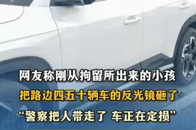 网友称刚从拘留所出来的小孩，把路边四五十辆车的反光镜砸了，“人警察带走了，车正在定损”。#后视镜视频封面