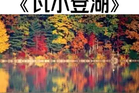 读不懂《瓦尔登湖》？ #在抖音当一种很新的书搭子 #我的文学搭子  #人文星闪耀计划  #在抖音探索文学之美 #瓦尔登湖视频封面